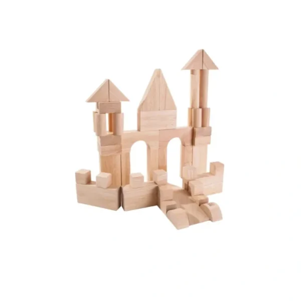 50 Unit Blocks - D Kids Toys